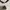 Adidas Casual Jersey Pria white photo 3