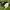 Nike Sportswear Casual Hoody Pria green photo 2