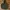 Nike Streetwear Sportswear Hoody Pria green black photo 1