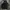 Hoddie Carhartt Spellout 