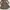 Vintage Y2K Evening dress Wanita brown photo 4