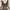 Vintage Y2K Evening dress Wanita brown photo 3
