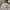 Birkenstock Streetwear Sportswear Sweater Pria gray photo 2