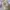 Nike Streetwear Sneakers Pria white photo 1
