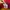 GAP Streetwear Casual Sweater Pria red photo 4