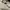 Adidas Y2K Casual Bag Pria multicolor tan photo 5