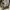 Adidas Y2K Casual Bag Pria multicolor tan photo 4