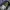 Dickies Streetwear Y2K Jeans Pria navy blue photo 5