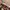 Uniqlo Lolita Shoulder bag Wanita multicolor photo 3