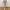 Uniqlo Lolita Shoulder bag Wanita multicolor photo 5