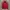 Adidas FireBird TrackJacket photo 1