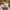VANS Casual Sneakers Pria white black photo 6