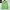 Nike Streetwear Sportswear Hoody Pria green photo 7