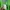 Nike Streetwear Sportswear Hoody Pria green photo 6