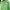 Nike Streetwear Sportswear Hoody Pria green photo 3