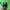 Nike Streetwear Sportswear Hoody Pria green photo 5