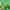 Nike Streetwear Sportswear Hoody Pria green photo 4