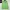 Nike Streetwear Sportswear Hoody Pria green photo 1