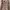 GAP Vintage Coquette Summer dress Wanita pink photo 1