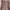 GAP Vintage Coquette Summer Dress Wanita Pink