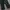 (BIG SIZE) DICKIES BLACK SLIM FIT CHINO LONG PANTS  | CELANA photo 5
