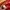 Pancoat Streetwear Sweatshirt Pria red photo 3