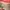 Michael Kors Casual Shoulder bag Wanita red photo 3