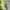 Nike Sportswear Casual Short Pria Green