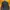 Black Garment Denim Trucker Jacket photo 2