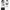 The North Face Casual T-shirt Wanita white black photo 4