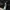Prada Luxury Puffer jacket Pria black photo 2