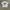 Item(s) : fotl Club Halcon Viajes Art Tshirt photo 1