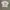 Item(s) : fotl Club Halcon Viajes Art Tshirt photo 3