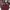 Vintage Shoulder Bag Wanita Burgundy