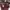 Vintage Shoulder bag Wanita burgundy photo 1