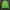 LMC Casual Trench coat Pria green photo 4
