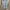 ZARA Casual Parka Pria tan photo 8