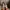 Timberland Streetwear Gorpcore Boots Pria brown photo 6