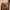 Timberland Streetwear Gorpcore Boots Pria Brown