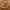 Timberland Streetwear Gorpcore Boots Pria brown photo 2