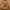 Timberland Streetwear Gorpcore Boots Pria Brown