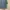 Streetwear Casual Trench coat Wanita blue photo 4
