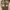 Timberland Vintage Casual Chelsea boots Pria brown photo 5