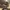 Timberland Streetwear Gorpcore Boots Pria brown photo 7