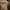 Timberland Streetwear Gorpcore Boots Pria brown photo 5