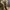 Timberland Streetwear Gorpcore Boots Pria brown photo 4
