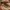Timberland Streetwear Gorpcore Boots Pria brown photo 2