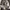 Japanese brand Vintage Avant Garde Windbreaker Pria white black photo 4