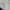 Nautica Y2K Casual Parka Pria white navy photo 5