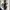 Nautica Y2K Casual Parka Pria white navy photo 2